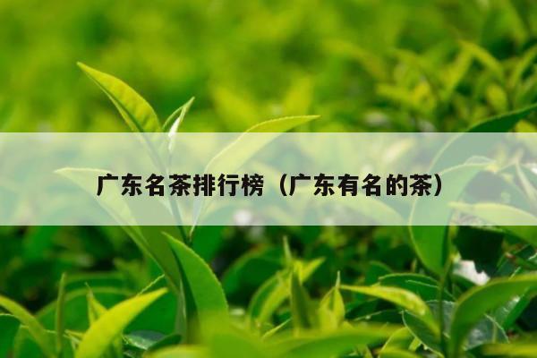 广东名茶排行榜（广东有名的茶）