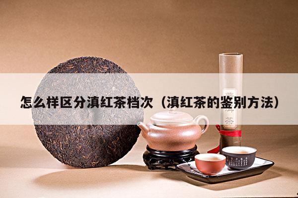 怎么样区分滇红茶档次（滇红茶的鉴别方法）