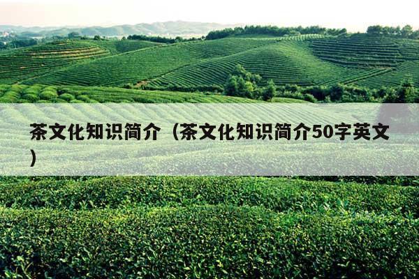 茶文化知识简介（茶文化知识简介50字英文）