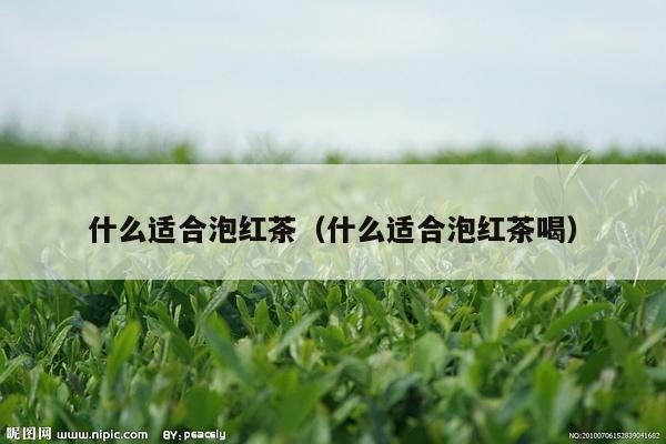 什么适合泡红茶（什么适合泡红茶喝）