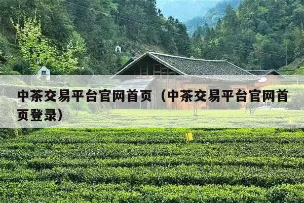 中茶交易平台官网首页（中茶交易平台官网首页登录）