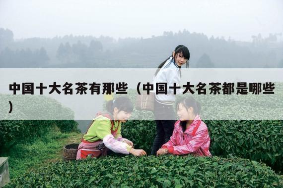 中国十大名茶有那些（中国十大名茶都是哪些）