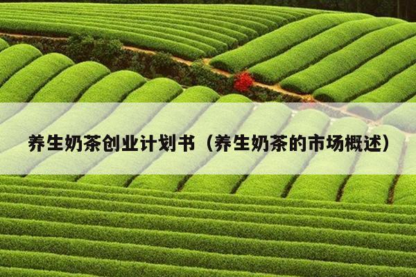 养生奶茶创业计划书（养生奶茶的市场概述）