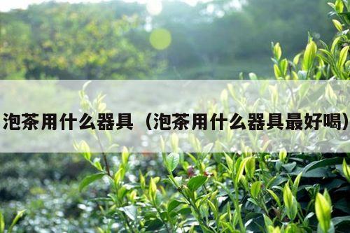 泡茶用什么器具（泡茶用什么器具最好喝）