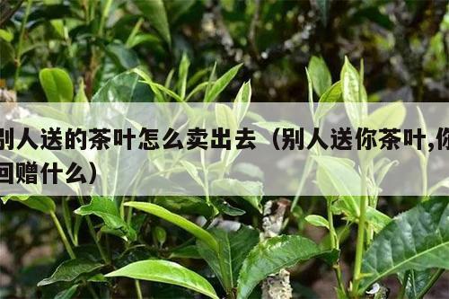 别人送的茶叶怎么卖出去（别人送你茶叶,你回赠什么）