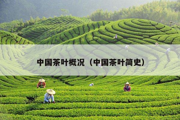 中国茶叶概况（中国茶叶简史）