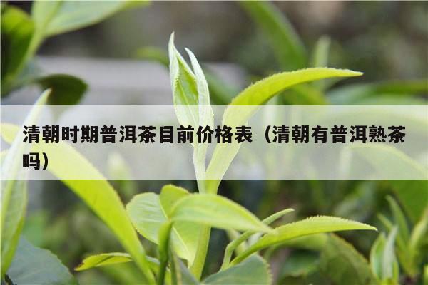 清朝时期普洱茶目前价格表（清朝有普洱熟茶吗）