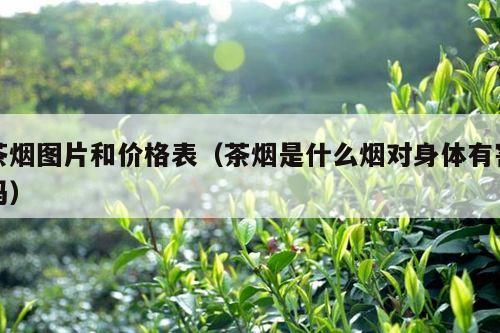 茶烟图片和价格表（茶烟是什么烟对身体有害吗）