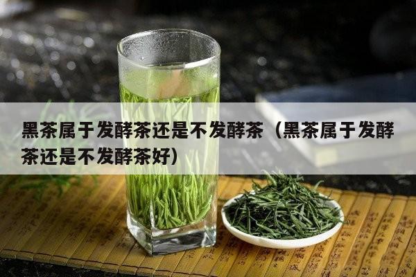 黑茶属于发酵茶还是不发酵茶（黑茶属于发酵茶还是不发酵茶好）