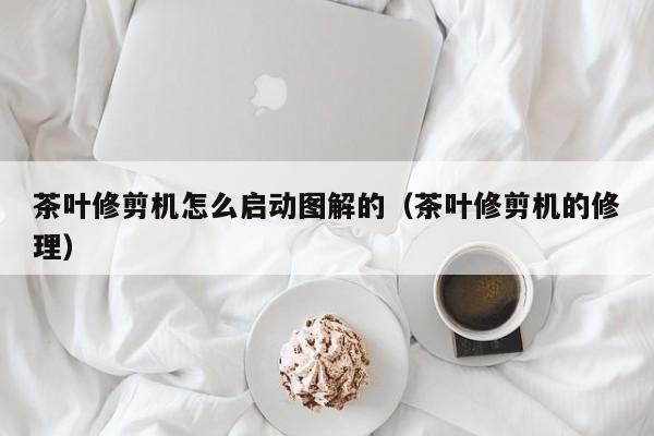 茶叶修剪机怎么启动图解的（茶叶修剪机的修理）