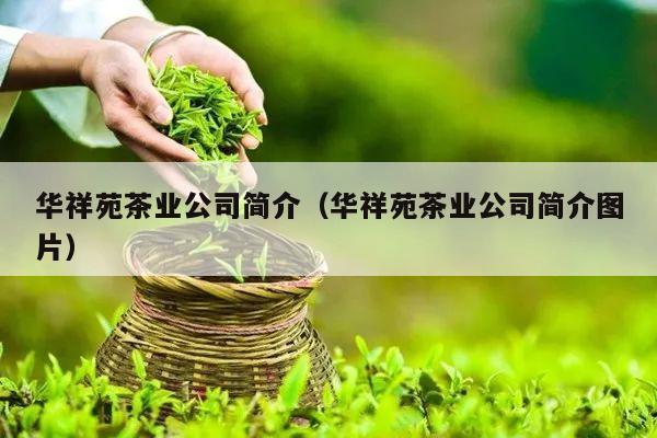 华祥苑茶业公司简介（华祥苑茶业公司简介图片）