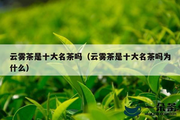 云雾茶是十大名茶吗（云雾茶是十大名茶吗为什么）