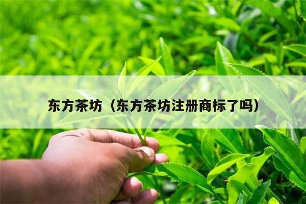 东方茶坊（东方茶坊注册商标了吗）