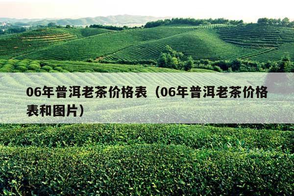 06年普洱老茶价格表（06年普洱老茶价格表和图片）