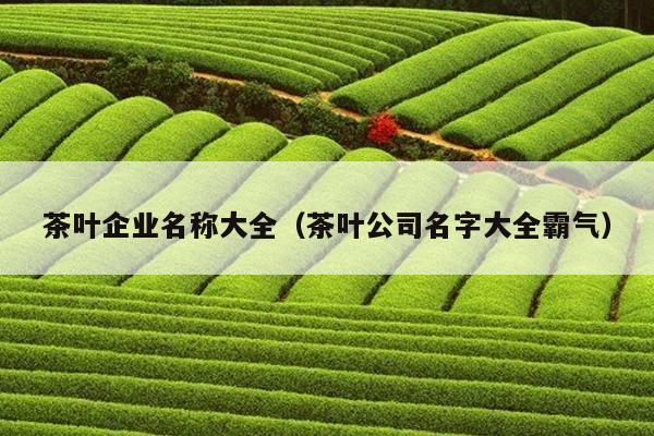 茶叶企业名称大全（茶叶公司名字大全霸气）