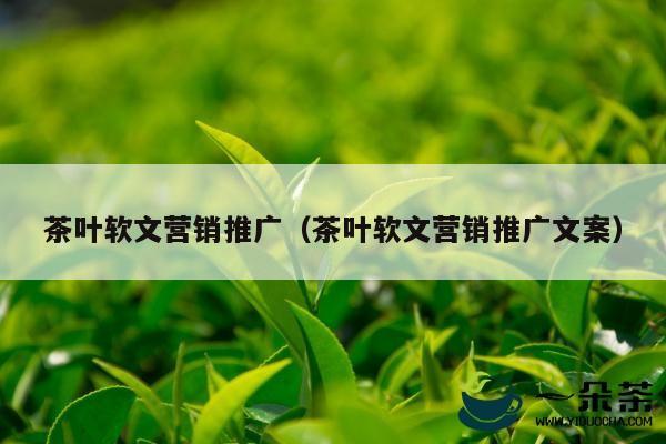 茶叶软文营销推广（茶叶软文营销推广文案）