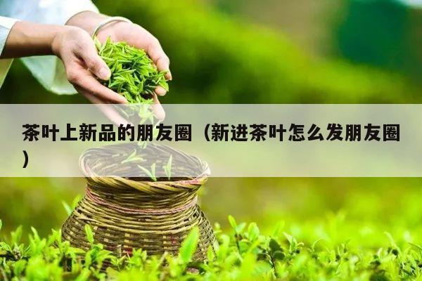 茶叶上新品的朋友圈（新进茶叶怎么发朋友圈）