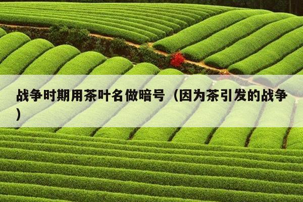 战争时期用茶叶名做暗号（因为茶引发的战争）