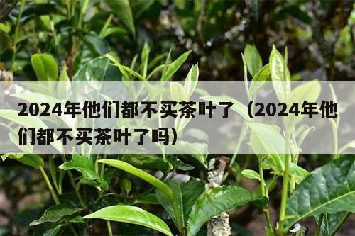 2024年他们都不买茶叶了（2024年他们都不买茶叶了吗）