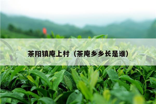 茶阳镇庵上村（茶庵乡乡长是谁）