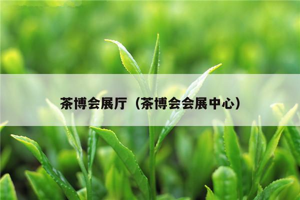 茶博会展厅（茶博会会展中心）