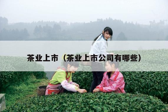 茶业上市（茶业上市公司有哪些）