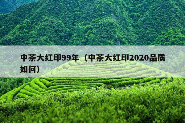 中茶大红印99年（中茶大红印2020品质如何）