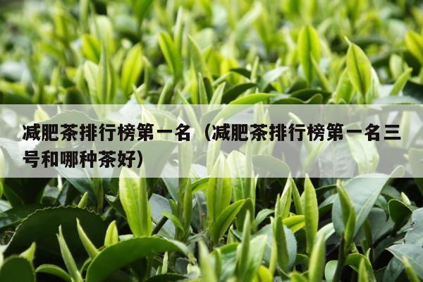 减肥茶排行榜第一名（减肥茶排行榜第一名三号和哪种茶好）