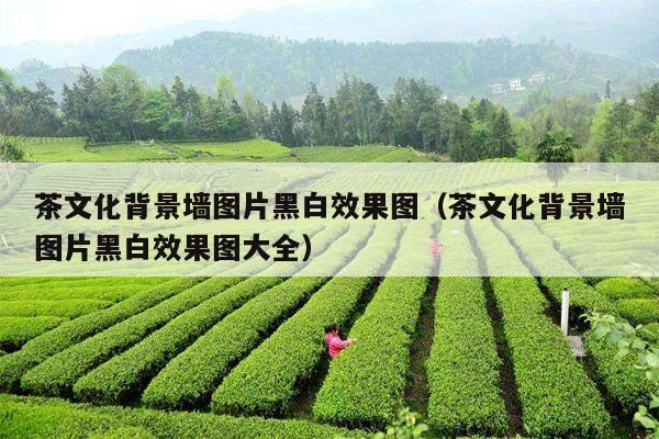 茶文化背景墙图片黑白效果图（茶文化背景墙图片黑白效果图大全）