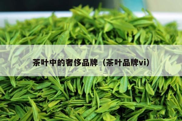 茶叶中的奢侈品牌（茶叶品牌vi）