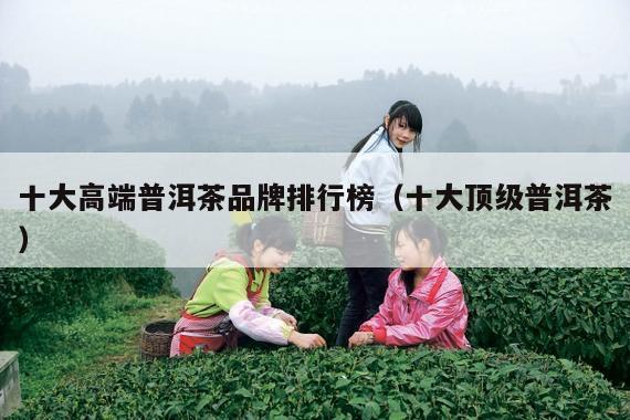 十大高端普洱茶品牌排行榜（十大顶级普洱茶）