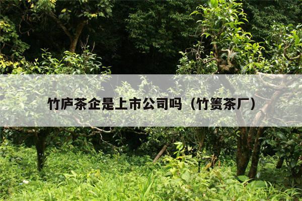 竹庐茶企是上市公司吗（竹箦茶厂）