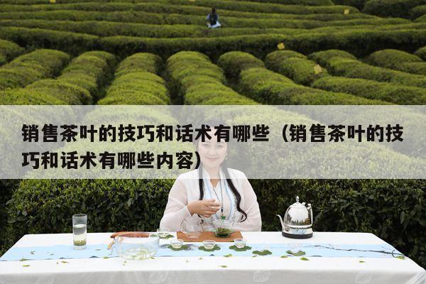 销售茶叶的技巧和话术有哪些（销售茶叶的技巧和话术有哪些内容）