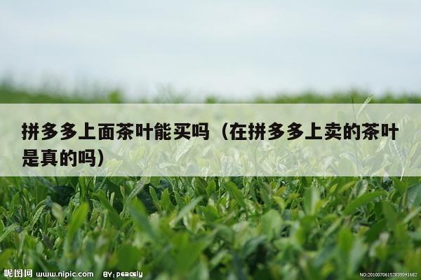 拼多多上面茶叶能买吗（在拼多多上卖的茶叶是真的吗）