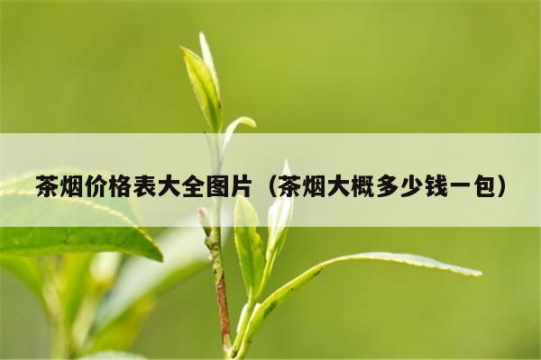 茶烟价格表大全图片（茶烟大概多少钱一包）