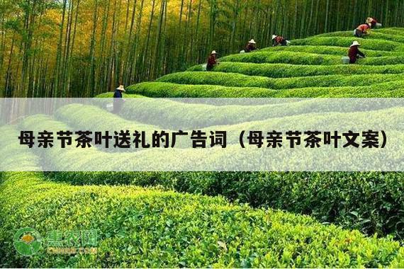 母亲节茶叶送礼的广告词（母亲节茶叶文案）