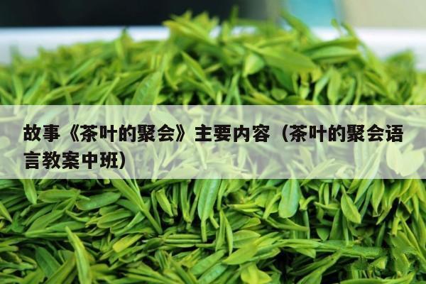 故事《茶叶的聚会》主要内容（茶叶的聚会语言教案中班）