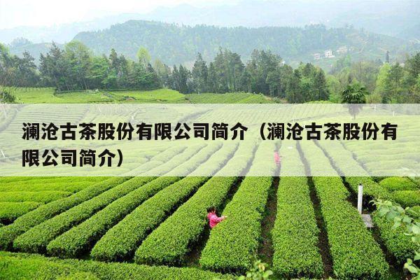 澜沧古茶股份有限公司简介（澜沧古茶股份有限公司简介）