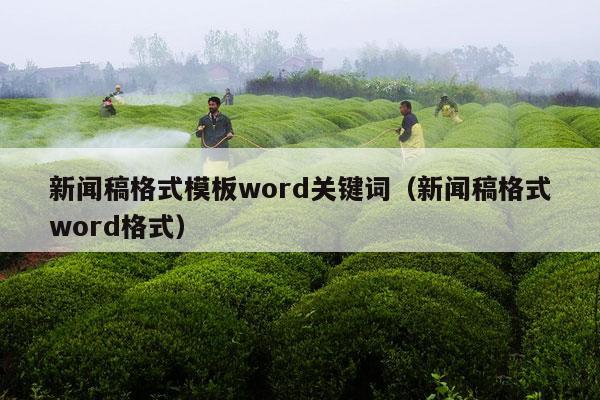 新闻稿格式模板word关键词（新闻稿格式word格式）