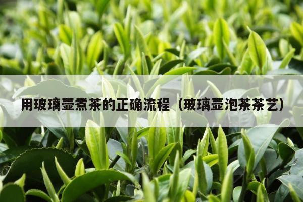 用玻璃壶煮茶的正确流程（玻璃壶泡茶茶艺）