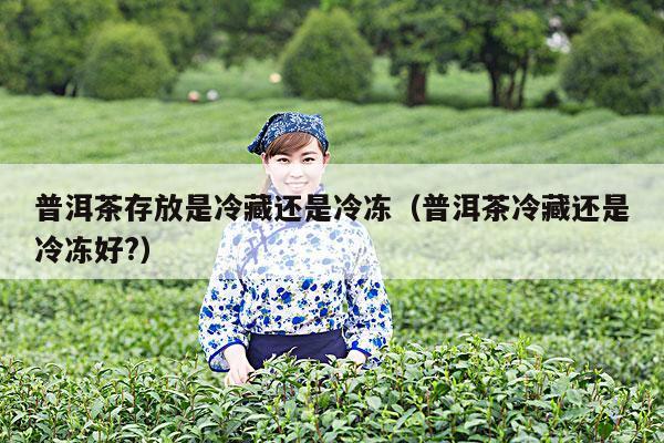 普洱茶存放是冷藏还是冷冻（普洱茶冷藏还是冷冻好?）