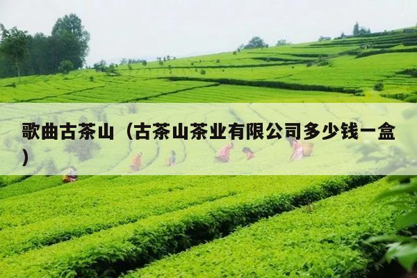 歌曲古茶山（古茶山茶业有限公司多少钱一盒）