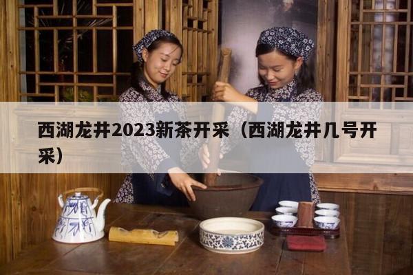 西湖龙井2023新茶开采（西湖龙井几号开采）