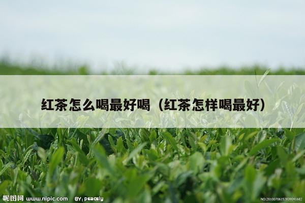 红茶怎么喝最好喝（红茶怎样喝最好）