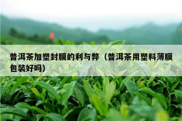 普洱茶加塑封膜的利与弊（普洱茶用塑料薄膜包装好吗）