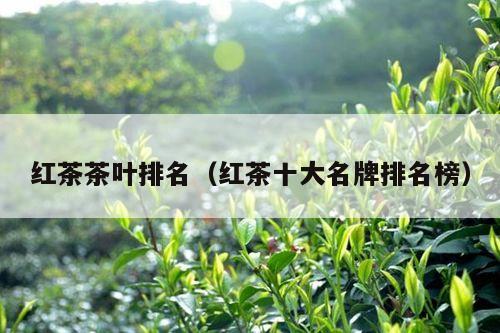 红茶茶叶排名（红茶十大名牌排名榜）