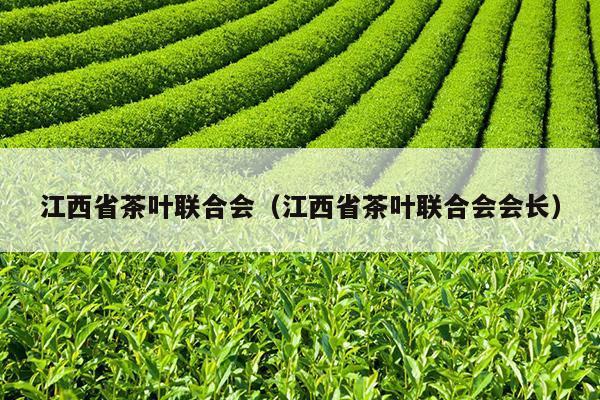 江西省茶叶联合会（江西省茶叶联合会会长）