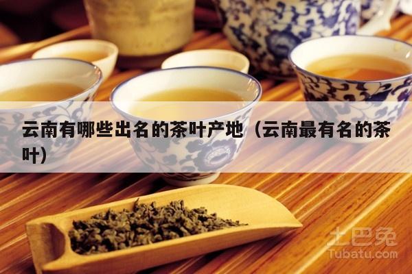 云南有哪些出名的茶叶产地（云南最有名的茶叶）