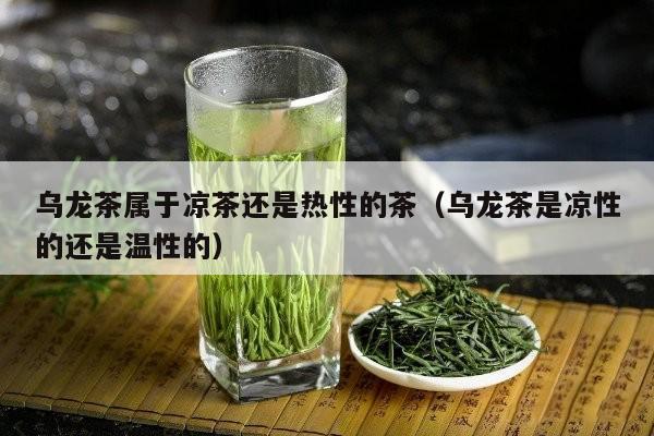 乌龙茶属于凉茶还是热性的茶（乌龙茶是凉性的还是温性的）