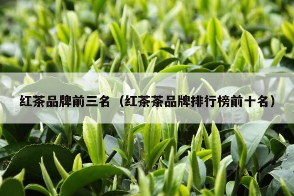 红茶品牌前三名（红茶茶品牌排行榜前十名）